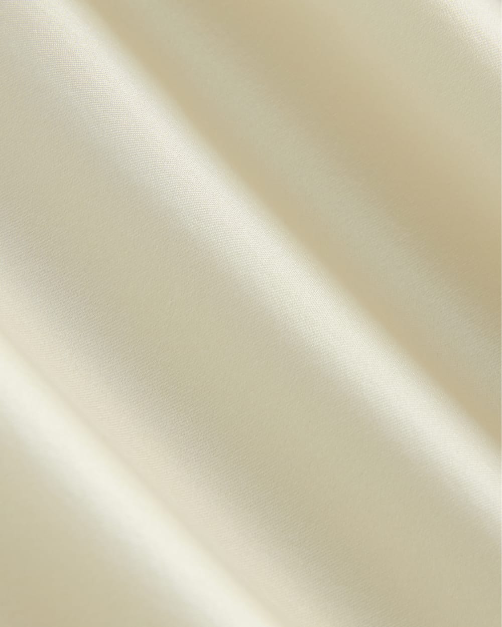 Slip Skirt in Silk Charmeuse | Bone - Image 6