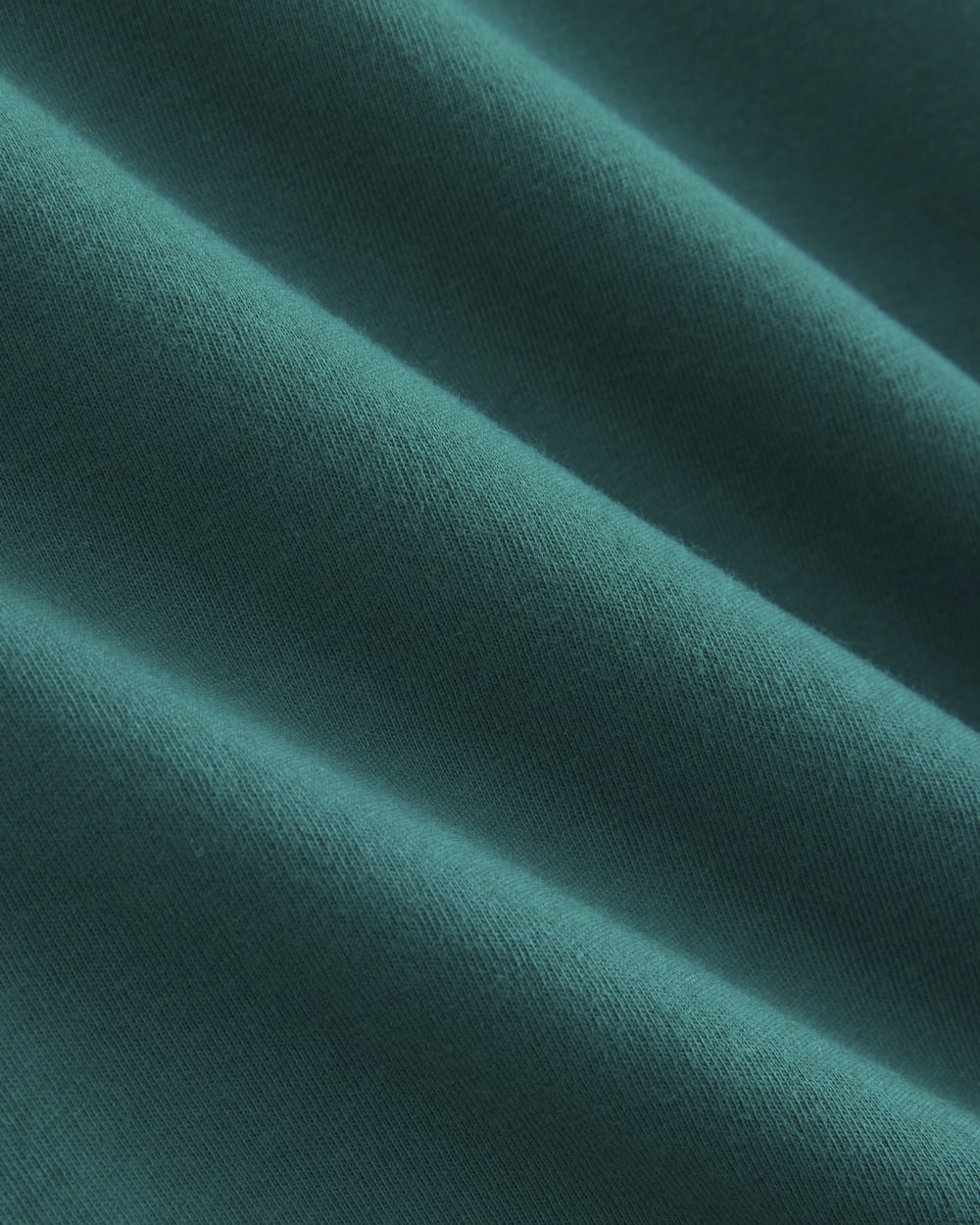 The Slim Crew in Essential Cotton | Everglade - Image 6