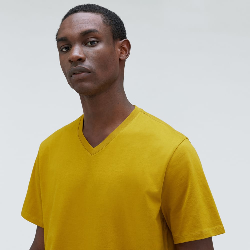 The Organic Cotton V-Neck Tee | Golden Palm - Image 4