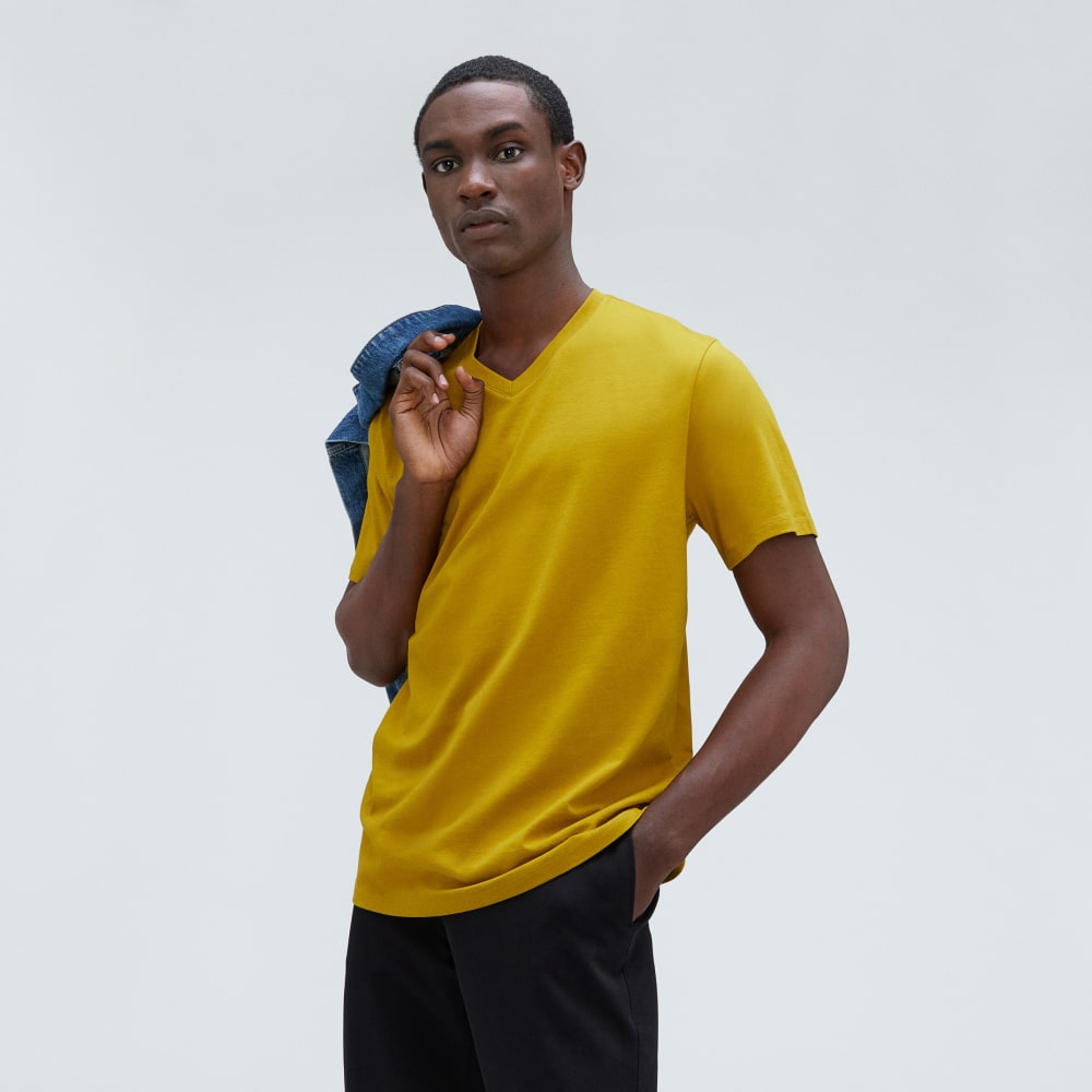 The Organic Cotton V-Neck Tee | Golden Palm - Image 5