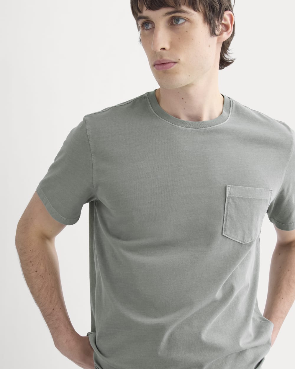 The Essential Organic Garment-Dyed Crew | Agave Green - Image 4