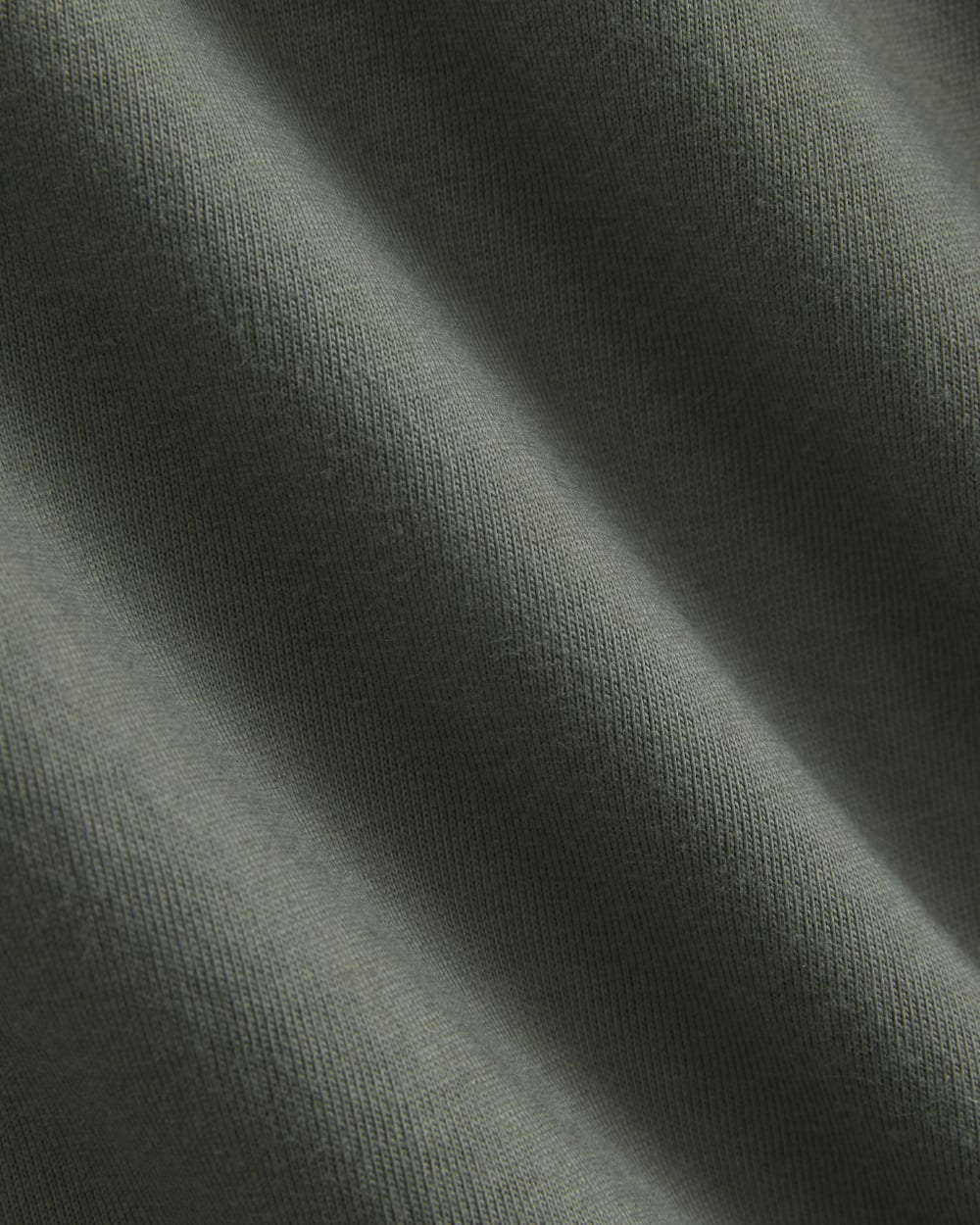 Archive Standard-Fit Cotton Crew | Agave Green - Image 5