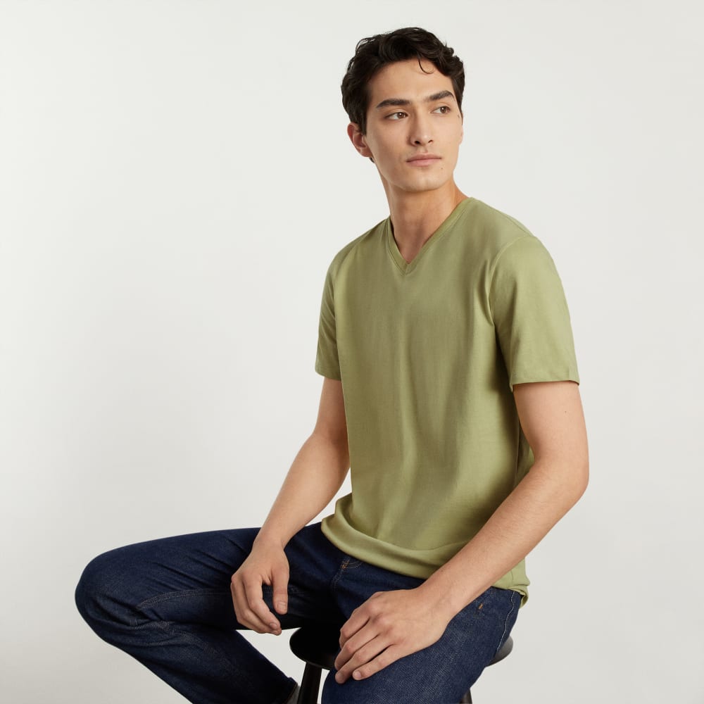 The Organic Cotton V-Neck Tee | Desert Palm - Image 4